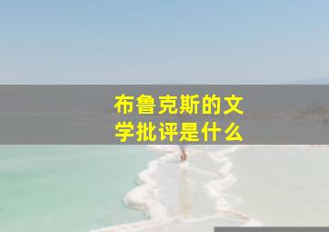 布鲁克斯的文学批评是什么