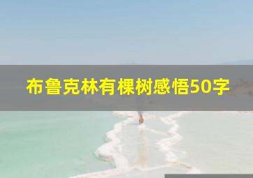 布鲁克林有棵树感悟50字