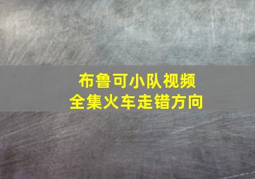 布鲁可小队视频全集火车走错方向