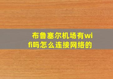 布鲁塞尔机场有wifi吗怎么连接网络的