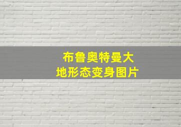 布鲁奥特曼大地形态变身图片