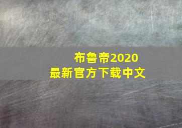 布鲁帝2020最新官方下载中文