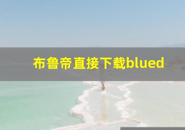 布鲁帝直接下载blued