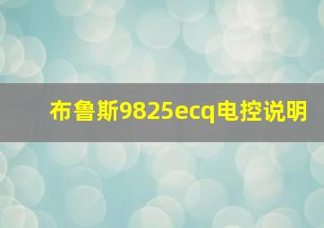 布鲁斯9825ecq电控说明