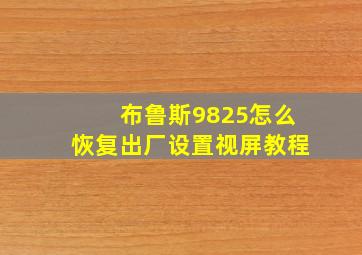 布鲁斯9825怎么恢复出厂设置视屏教程