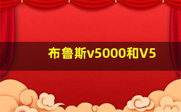 布鲁斯v5000和V5