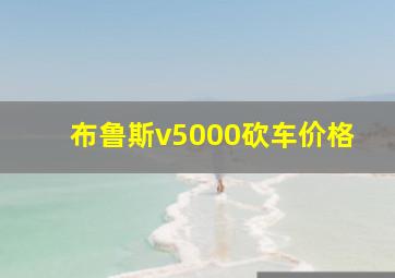 布鲁斯v5000砍车价格