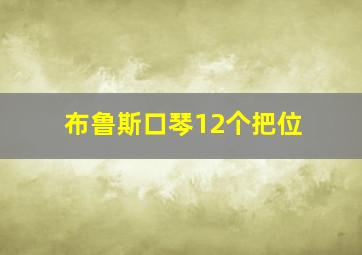 布鲁斯口琴12个把位