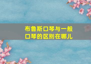 布鲁斯口琴与一般口琴的区别在哪儿