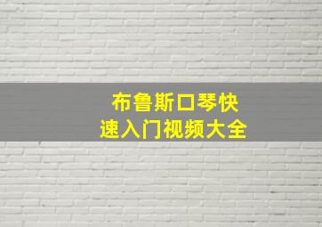 布鲁斯口琴快速入门视频大全