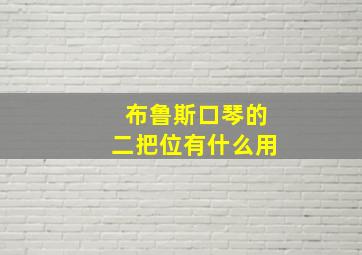 布鲁斯口琴的二把位有什么用