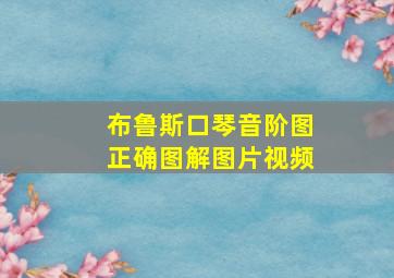 布鲁斯口琴音阶图正确图解图片视频