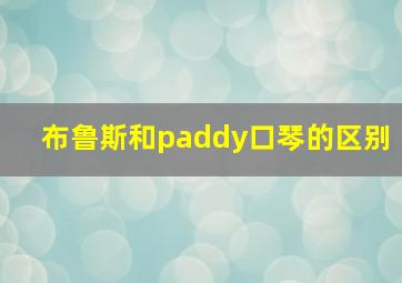 布鲁斯和paddy口琴的区别