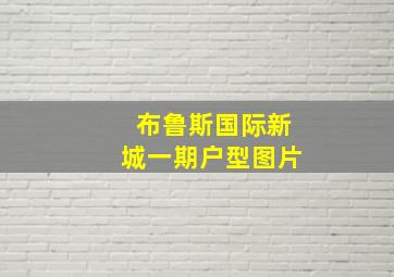 布鲁斯国际新城一期户型图片