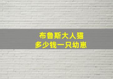 布鲁斯大人猫多少钱一只幼崽