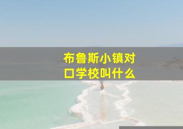 布鲁斯小镇对口学校叫什么