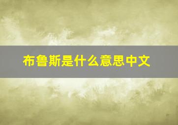 布鲁斯是什么意思中文