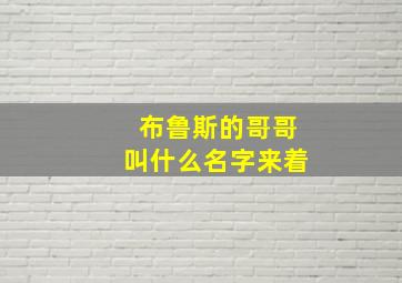 布鲁斯的哥哥叫什么名字来着