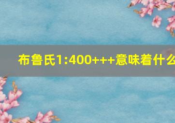 布鲁氏1:400+++意味着什么