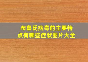 布鲁氏病毒的主要特点有哪些症状图片大全