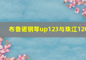 布鲁诺钢琴up123与珠江120