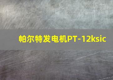 帕尔特发电机PT-12ksic