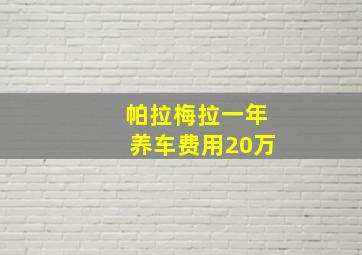 帕拉梅拉一年养车费用20万