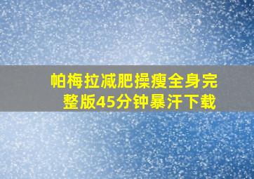 帕梅拉减肥操瘦全身完整版45分钟暴汗下载