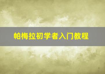 帕梅拉初学者入门教程