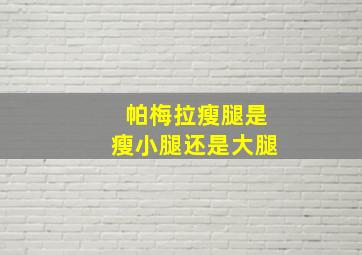 帕梅拉瘦腿是瘦小腿还是大腿