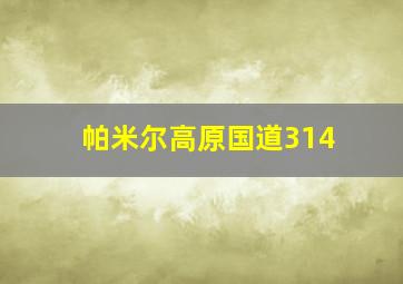 帕米尔高原国道314