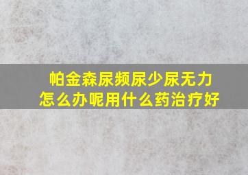 帕金森尿频尿少尿无力怎么办呢用什么药治疗好