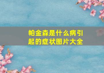 帕金森是什么病引起的症状图片大全