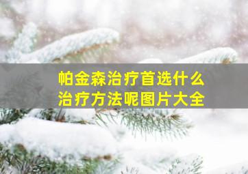 帕金森治疗首选什么治疗方法呢图片大全