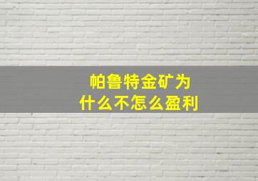 帕鲁特金矿为什么不怎么盈利