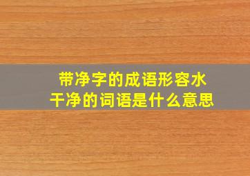 带净字的成语形容水干净的词语是什么意思