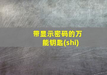 带显示密码的万能钥匙(shi)