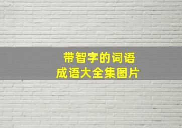 带智字的词语成语大全集图片