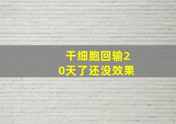 干细胞回输20天了还没效果