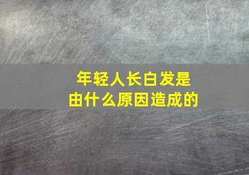 年轻人长白发是由什么原因造成的