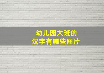 幼儿园大班的汉字有哪些图片