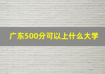 广东500分可以上什么大学