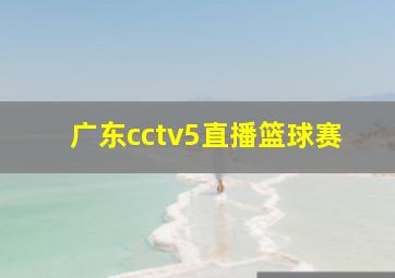 广东cctv5直播篮球赛