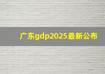 广东gdp2025最新公布