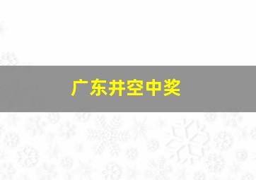 广东井空中奖