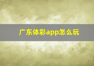 广东体彩app怎么玩