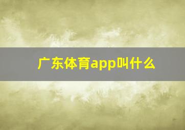 广东体育app叫什么