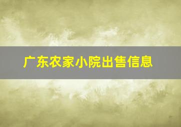 广东农家小院出售信息