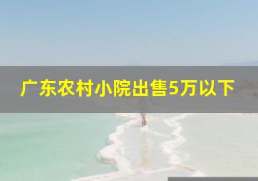 广东农村小院出售5万以下