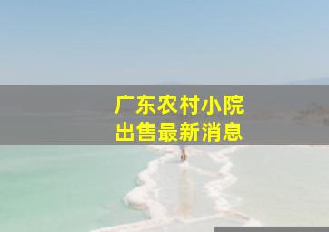 广东农村小院出售最新消息